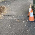 Before image of emergency asphalt patch repair at Taronga Zoo in Mosman, New South Wales