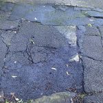 Before image of emergency asphalt patch repair at Taronga Zoo in Mosman, New South Wales